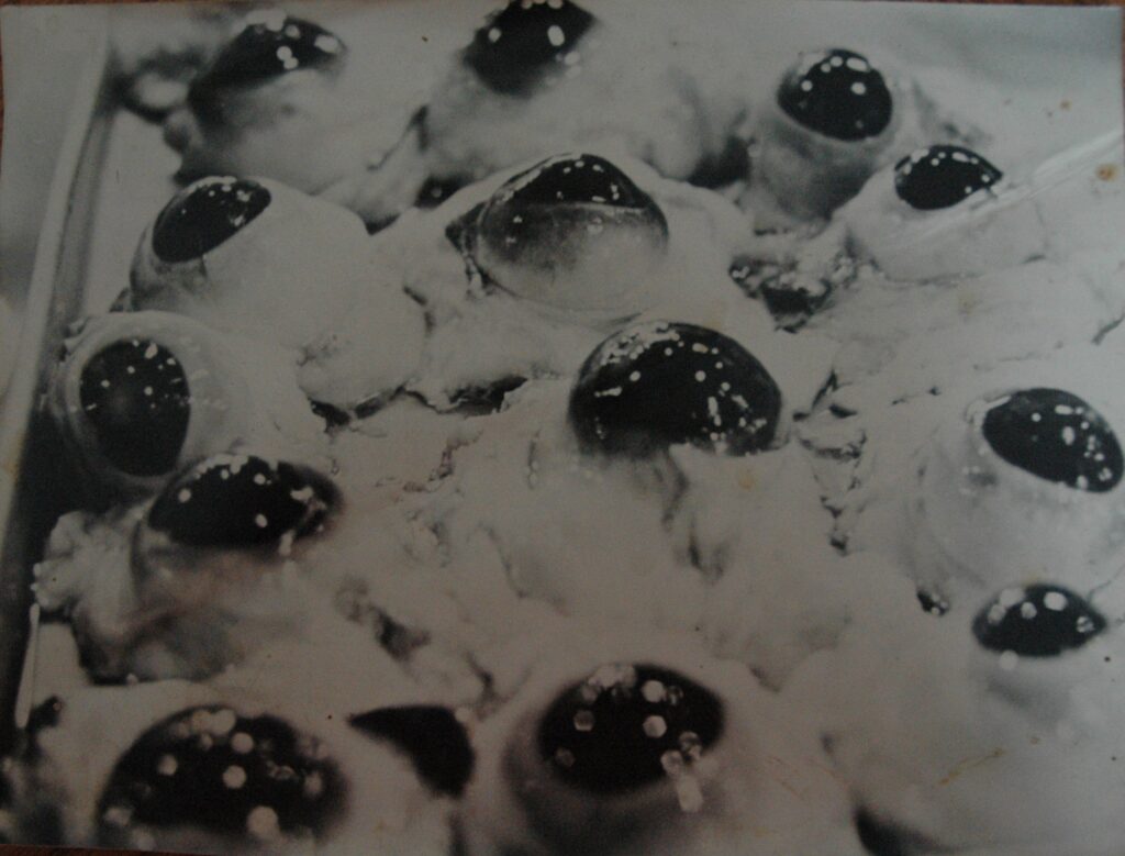 DSC_0711 | Control Point®